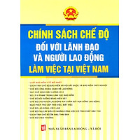 Chính Sách Chế Độ Đối Với Lãnh Đạo Và Người Lao Động Làm Việc Tại Việt Nam