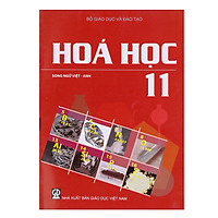 Sách Hóa Học Lớp 11 (Song Ngữ Việt – Anh)