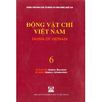 Động Vật Chí Việt Nam (Tập 6): Họ Ruồi Nhà, Họ Nhặng