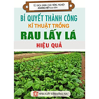 Bí Quyết Thành Công Kĩ Thuật Trồng Rau Lấy Lá Hiệu Quả