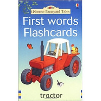Usborne FYT First words Flashcards