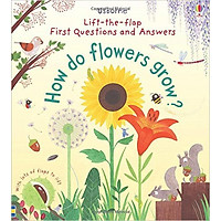 Usborne How do flowers grow?