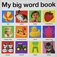 My Big Word Book