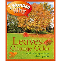 I Wonder Why Leaves Change Color