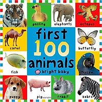 Big Board Books First 100 Animals