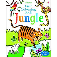 Usborne Jungle