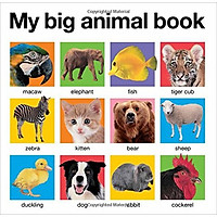 My Big Animal Book