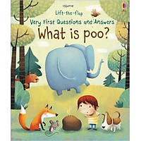 Usborne What is poo?
