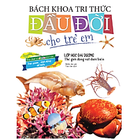 Bách Khoa Tri Thức Đầu Đời Cho Trẻ Em – Lớp Học Đại Dương  – Thế Giới Động Vật Dưới Biển
