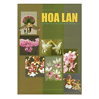 Hoa Lan (Dành Cho Người Mới Trồng)