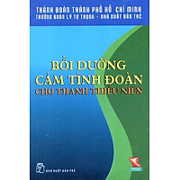 Bồi Dưỡng Cảm Tình Đoàn Cho Thanh Thiếu Niên
