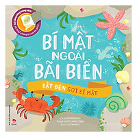 Bật Đèn Soi Bí Mật: Bí Mật Ngoài Bãi Biển