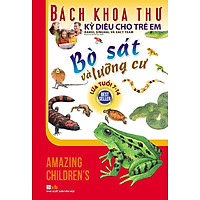 Bách Khoa Thư Kỳ Diệu Cho Trẻ Em – Bò Sát Và Lưỡng Cư
