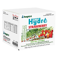 Dinh dưỡng thủy canh dâu tây Hydro Strawberry (10kg)