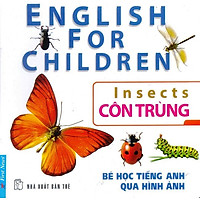 Bé Học Tiếng Anh Qua Hình Ảnh – Côn Trùng