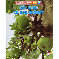 Cây Sung Có Hoa Không