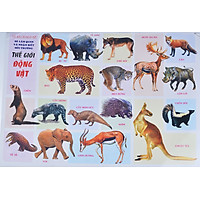 Tranh Thế Giới Động Vật