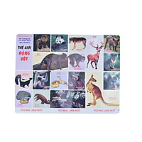 Tranh Thế Giới Động Vật (Song Ngữ Anh – Việt)