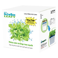 Bộ 10 thùng (60 rọ) trồng thủy canh rau ăn lá - Hợp Trí Growbox Leafy Kit 10