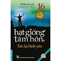 Hạt Giống Tâm Hồn 16 – Tìm Lại Bình Yên