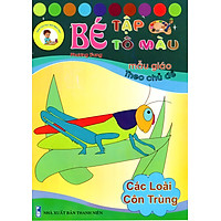 Bé Tập Tô Màu Mẫu Giáo – Các Loài Côn Trùng