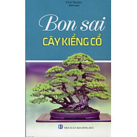 Bonsai Cây Kiểng Cổ