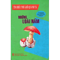 Tìm Hiểu Thế Giới Quanh Ta – Những Loài Nấm