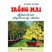 Trồng Mai – Kỹ Thuật Bón Tưới, Phòng Trừ Sâu Rầy, Bệnh Hại