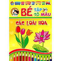 Bé Tập Tô Màu - Các Loài Hoa