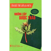 Tìm Hiểu Thế Giới Quanh Ta – Những Cây Dược Thảo