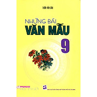 Những Bài Văn Mẫu Lớp 9