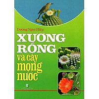 Xương Rồng Và Cây Mọng Nước