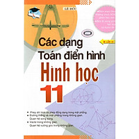 Các Dạng Toán Điển Hình Hình Học Lớp 11