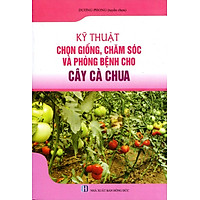 Kỹ Thuật Trồng, Chăm Sóc Và Trừ Bệnh Cho Cây Cà Chua