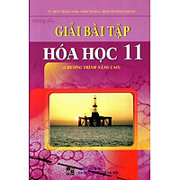 Hướng dẫn Giải Bài Tập Hóa Học Lớp 11 (Chương Trình Nâng Cao)