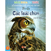 Bách Khoa Tri Thức Về Khám Phá Thế Giới Cho Trẻ Em – Các Loài Chim