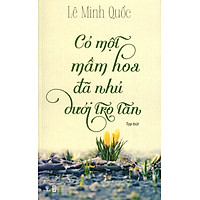 Có Một Mầm Hoa Đã Nhú Dưới Tro Tàn