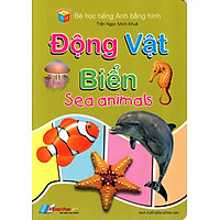 Bé Học Tiếng Anh Bằng Hình: Động Vật Biển