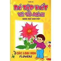 Bé Tập Viết Và Tô Màu Các Loại Hoa (Song Ngữ Anh – Việt)