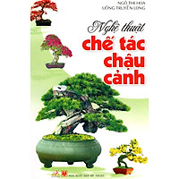 Nghệ Thuật Chế Tác Chậu Cảnh