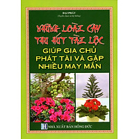 Những Loài Cây Thu Hút Tài Lộc Giúp Gia Chủ Phát Tài Và Gặp Nhiều May Mắn