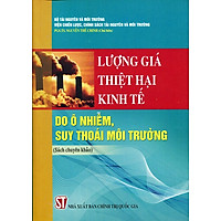 Lượng Giá Thiệt Hại Kinh Tế Do Ô Nhiễm, Suy Thoái Môi Trường