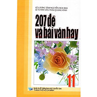207 Đề Và Bài Văn Hay Lớp 11