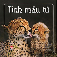 Cuốn Sách Về Tình Yêu Thương – Tình Mẫu Tử