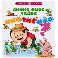 Bách Khoa Nhí Gợi Trí Tò Mò – Chúng Được Trồng Như Thế Nào?