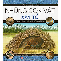 Những Con Vật Xây Tổ