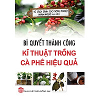 Bí Quyết Thành Công Kĩ Thuật Trồng Cà Phê Hiệu Quả