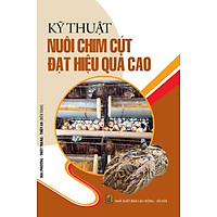 Kỹ Thuật Nuôi Chim Cút Đạt Hiệu Quả Cao