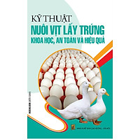 Kỹ Thuật Nuôi Vịt Lấy Trứng Khoa Học, An Toàn Và Hiệu Quả