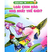 Loài Chim Nào Nhỏ Nhất Thế Giới